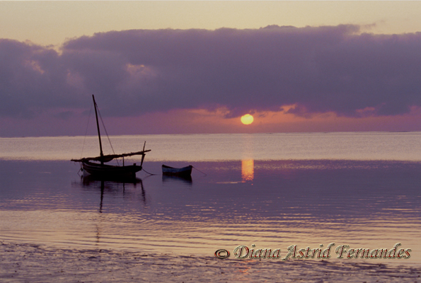 Kenya-anchored-boats-at-dawn-Mombasa
